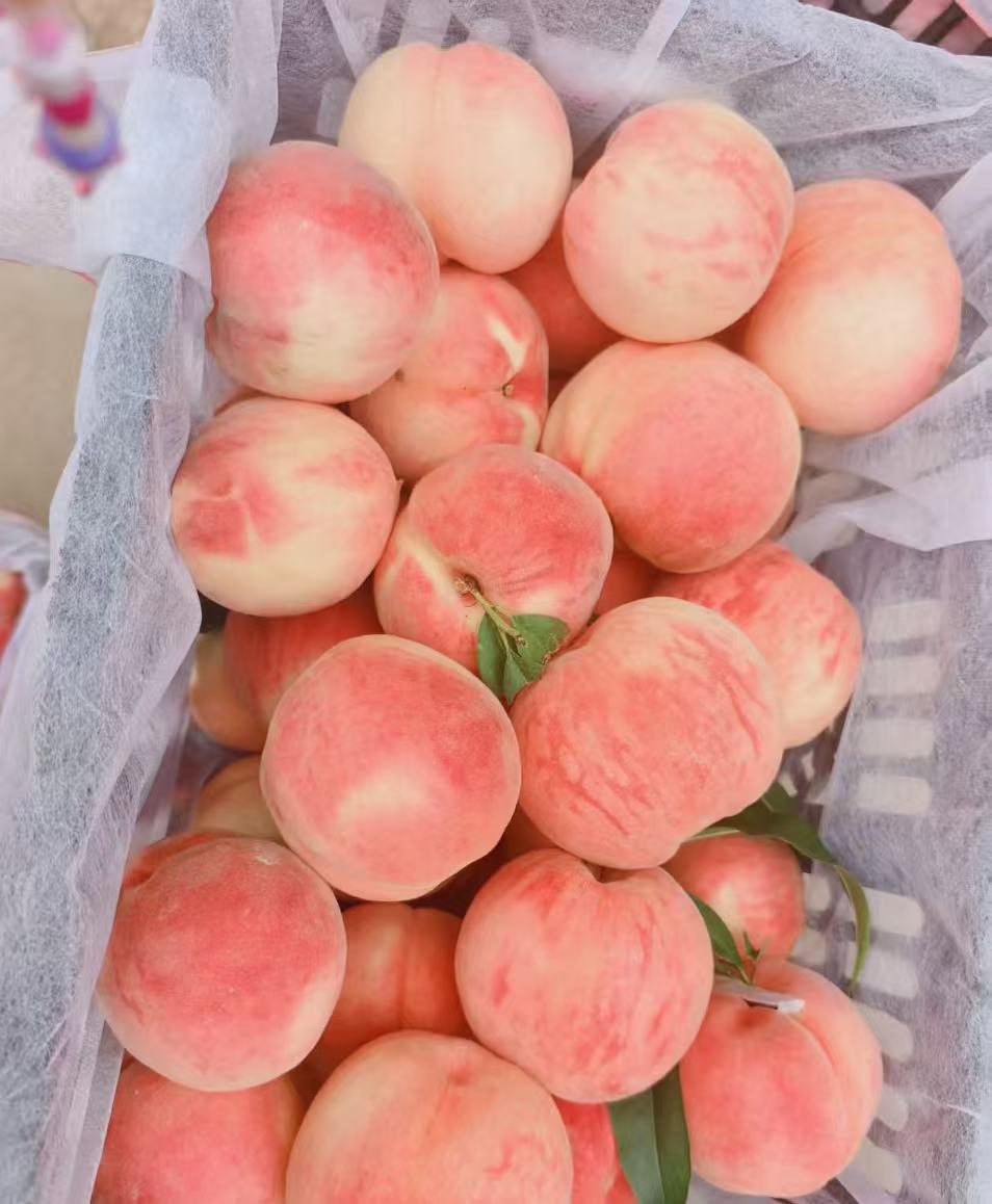 蜜桃